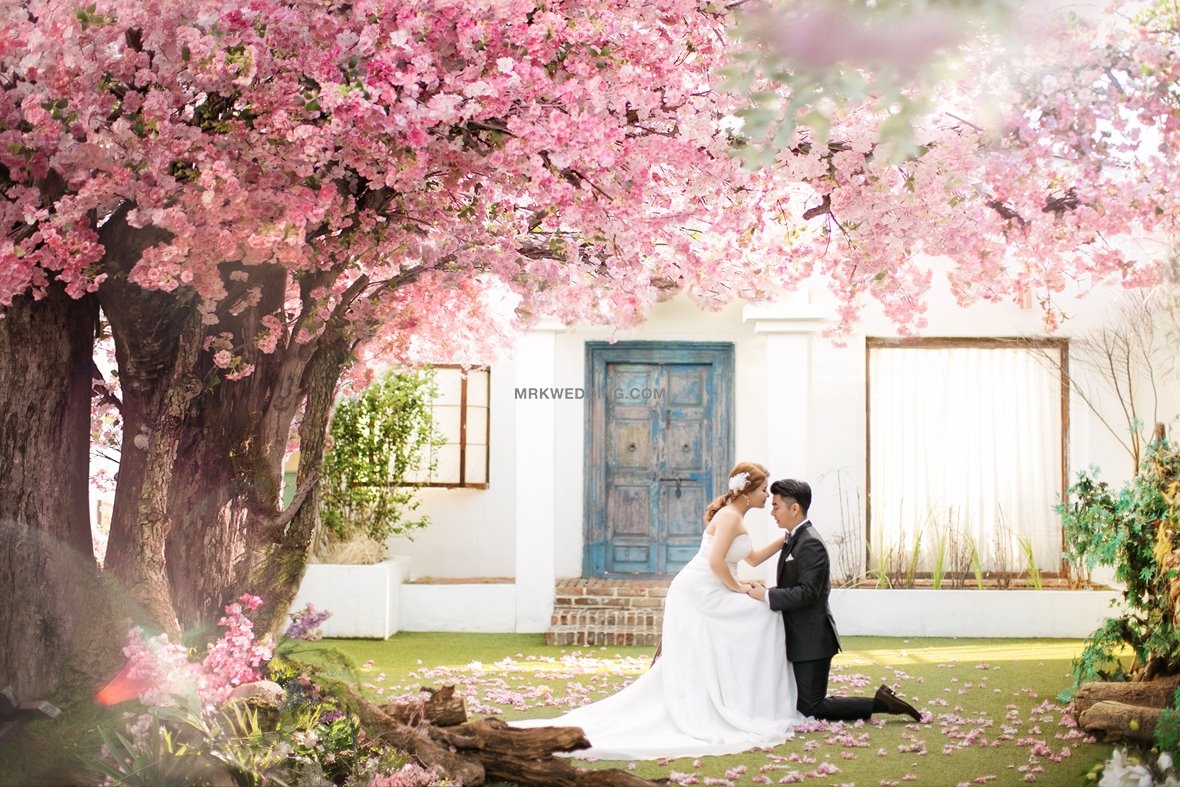 Korea pre wedding (6).jpg