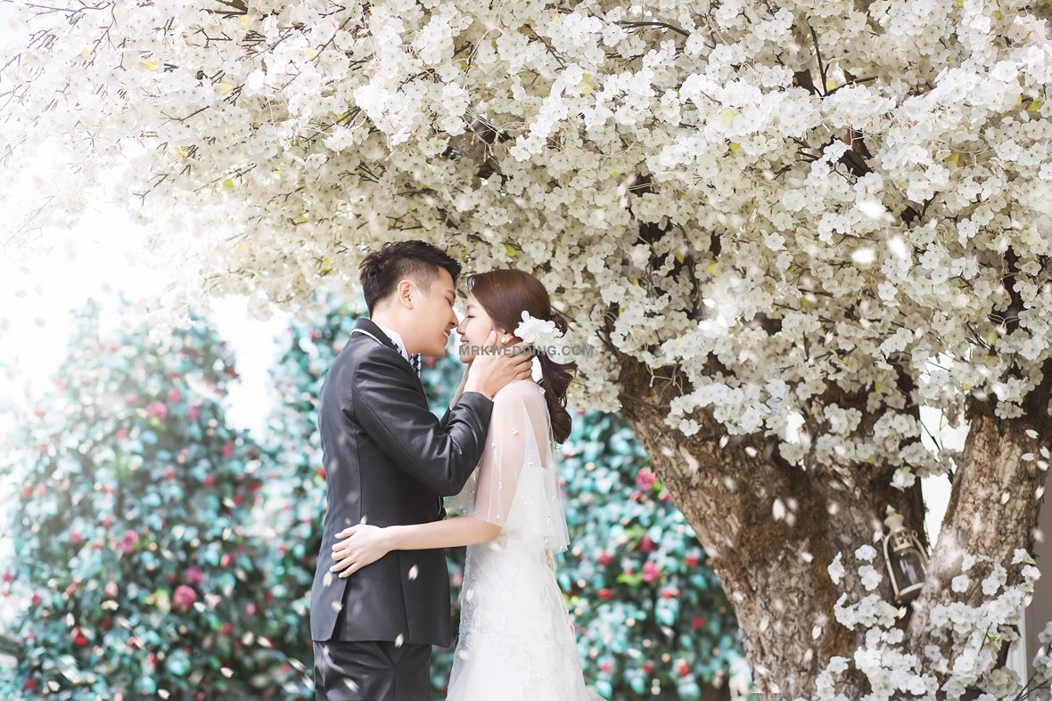 001 Korea pre wedding (19).jpg