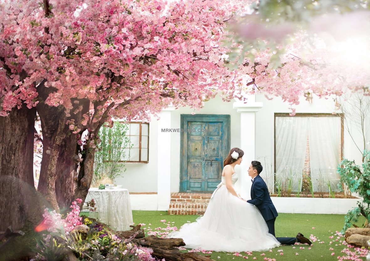Korea wedding (14).jpg
