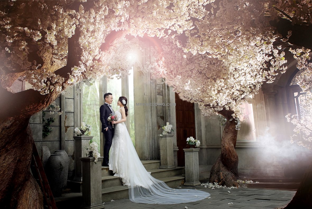 001 korea pre wedding (27).jpg