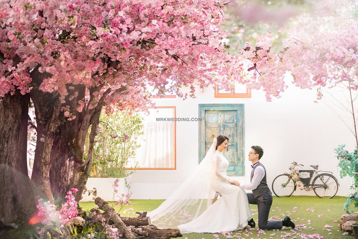 Korea pre wedding_ (18).jpg