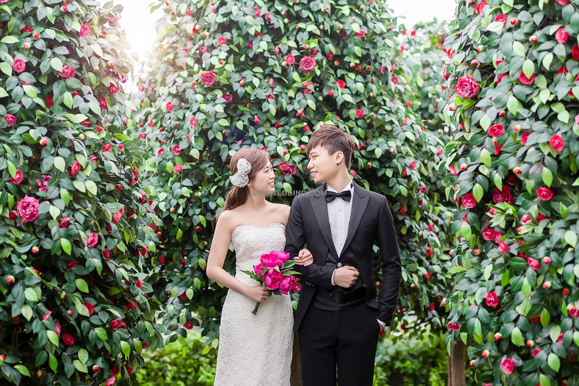 Korea pre wedding (7).jpg