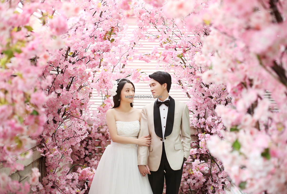 Korea pre wedding (33).jpg