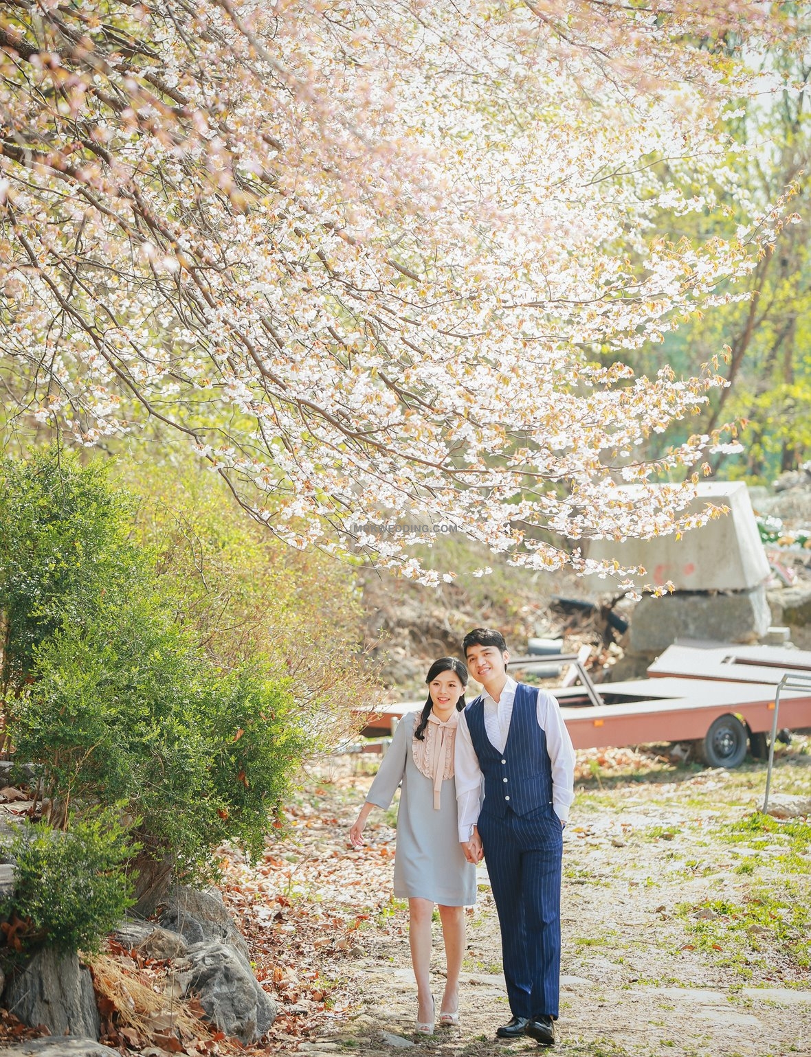 Korea pre wedding photography (3).jpg