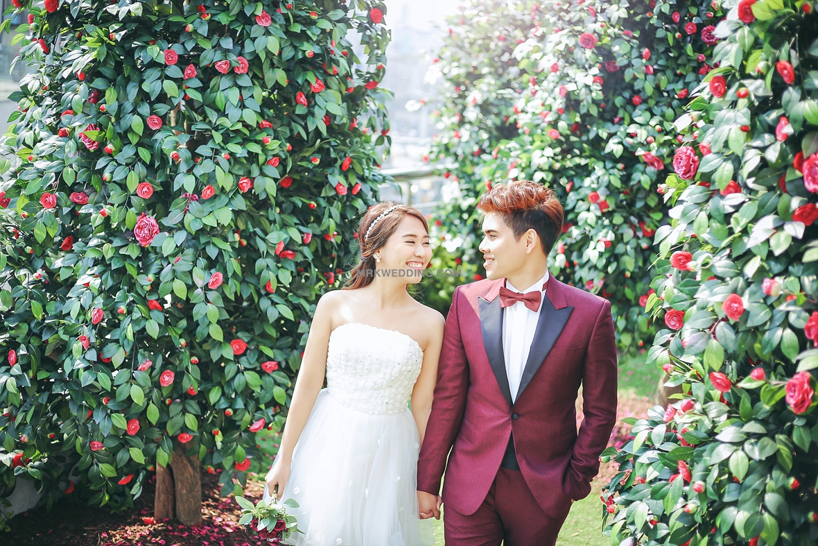 Korea pre wedding (20).jpg