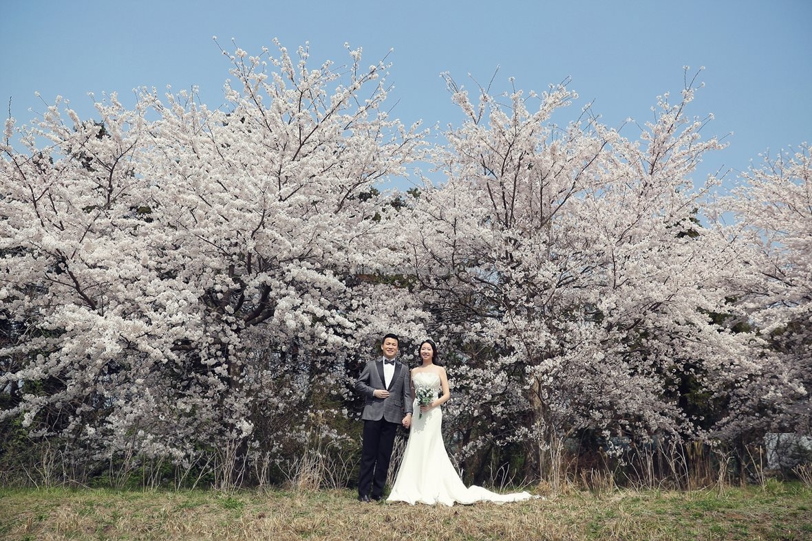 korea pre wedding (14) - 복사본.jpg