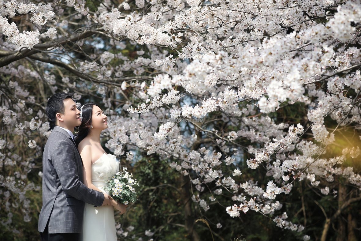 korea pre wedding (2) - 복사본.jpg