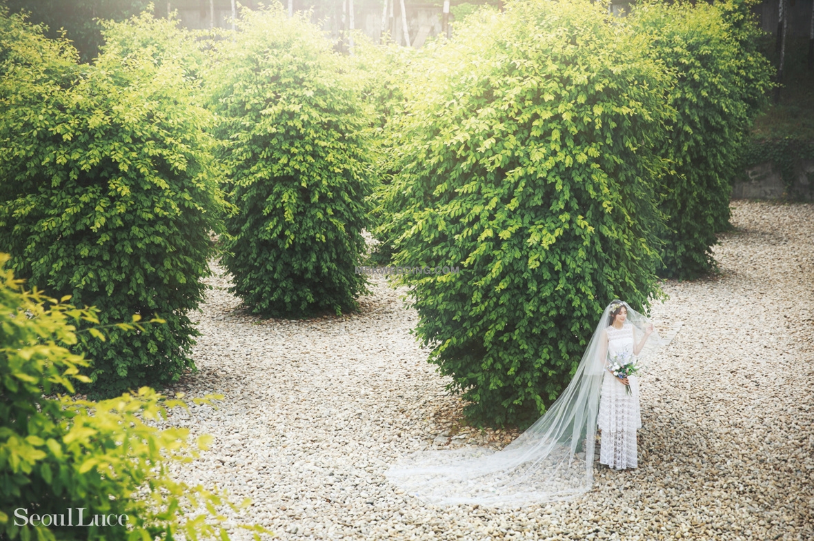 Korea pre wedding photography (35).jpg