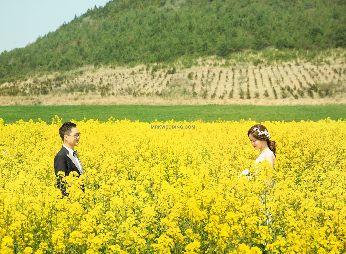 korea pre wedding (35).jpg