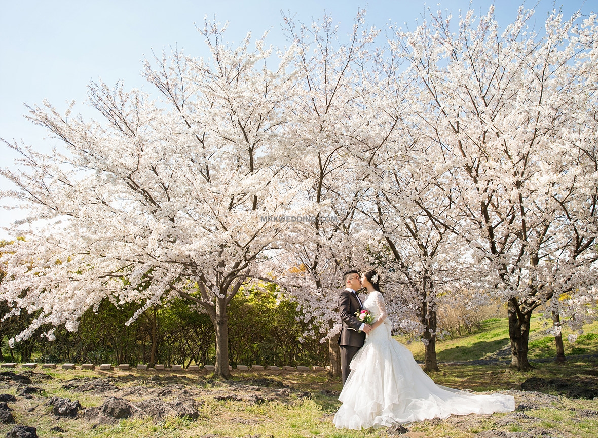 004 korea pre wedding (17).jpg