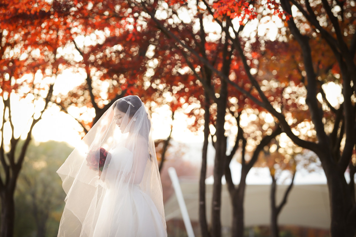Korea pre wedding photography (3).jpeg