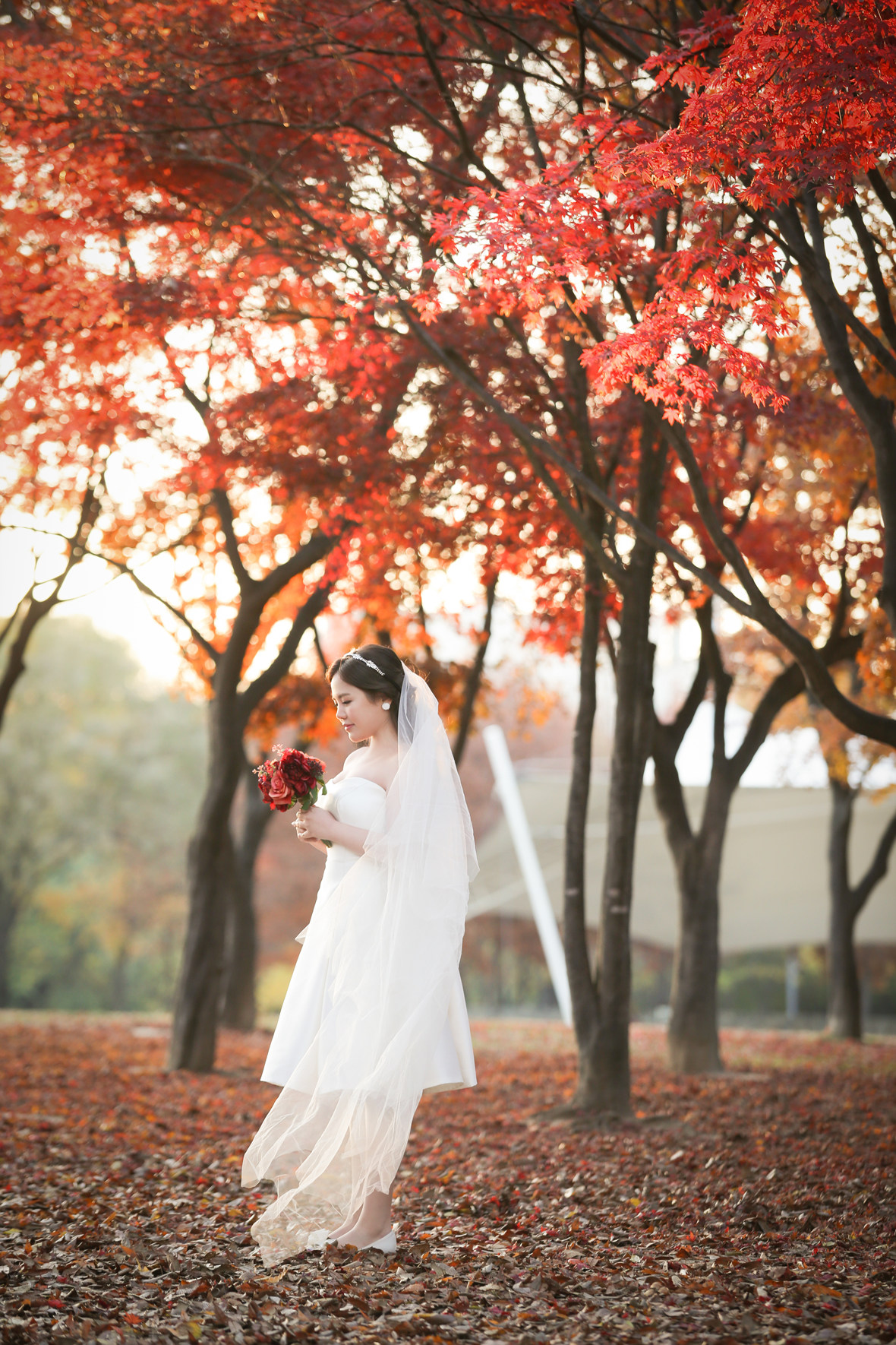 Korea pre wedding photography (2).jpeg