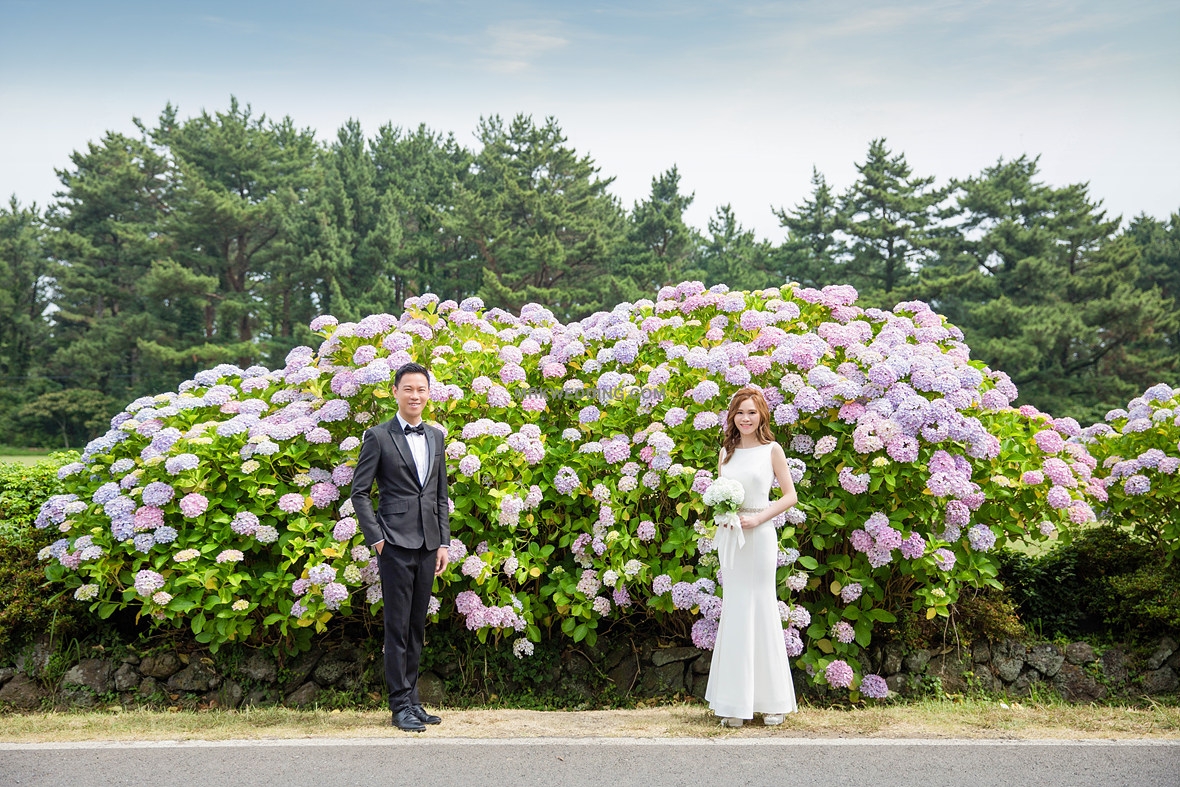 01korea pre wedding (2).jpg