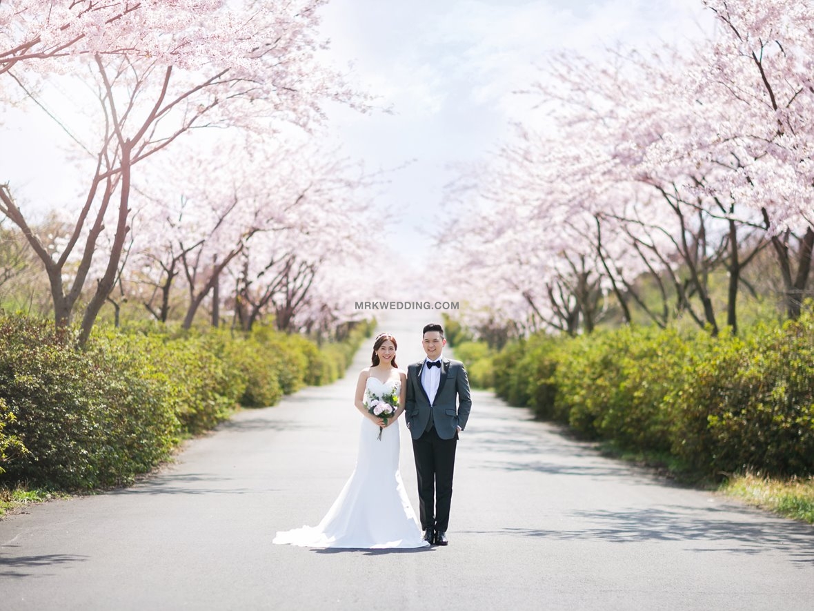 Jeju pre wedding (3).jpg