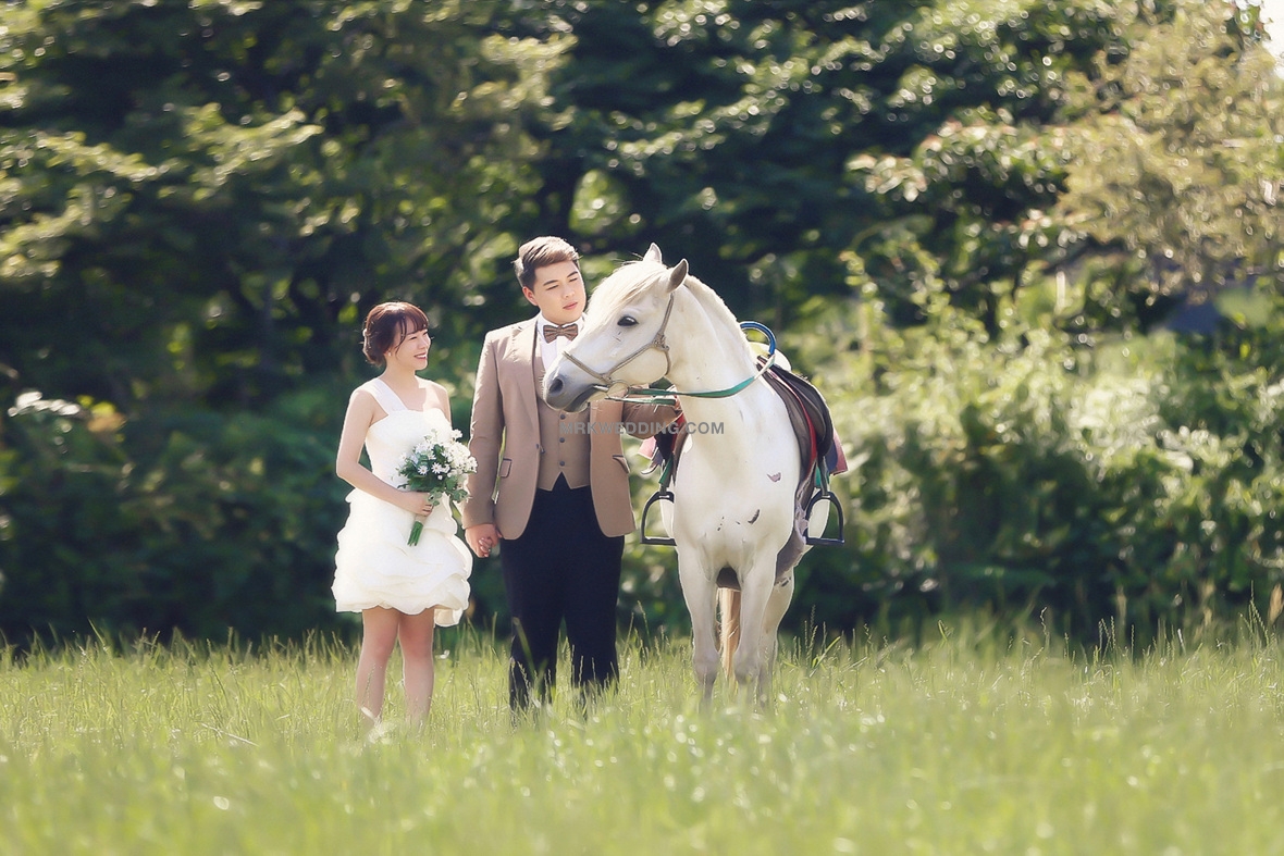 Korea pre wedding (23).jpg