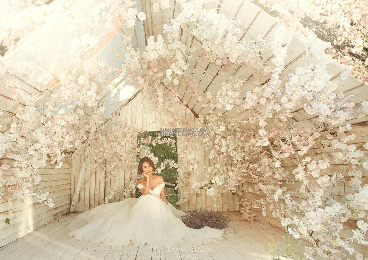 Korea pre wedding (91).jpg