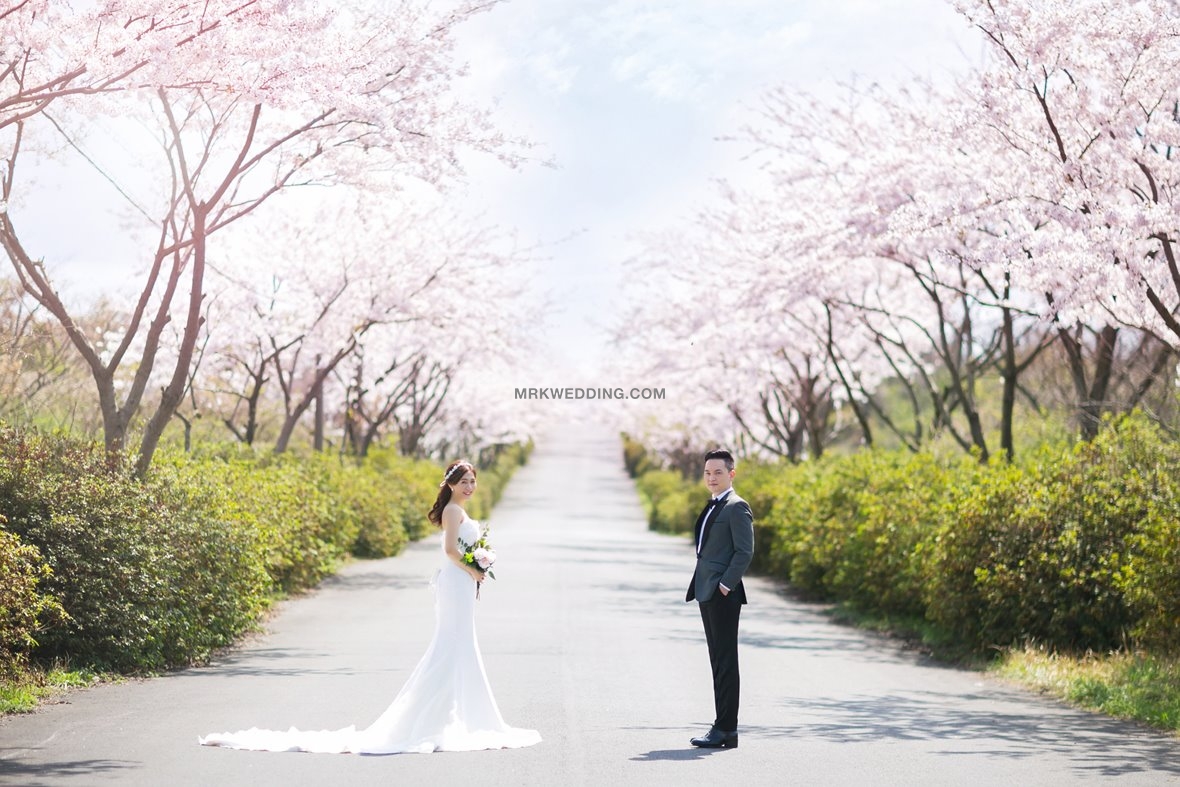 Jeju pre wedding (4).jpg