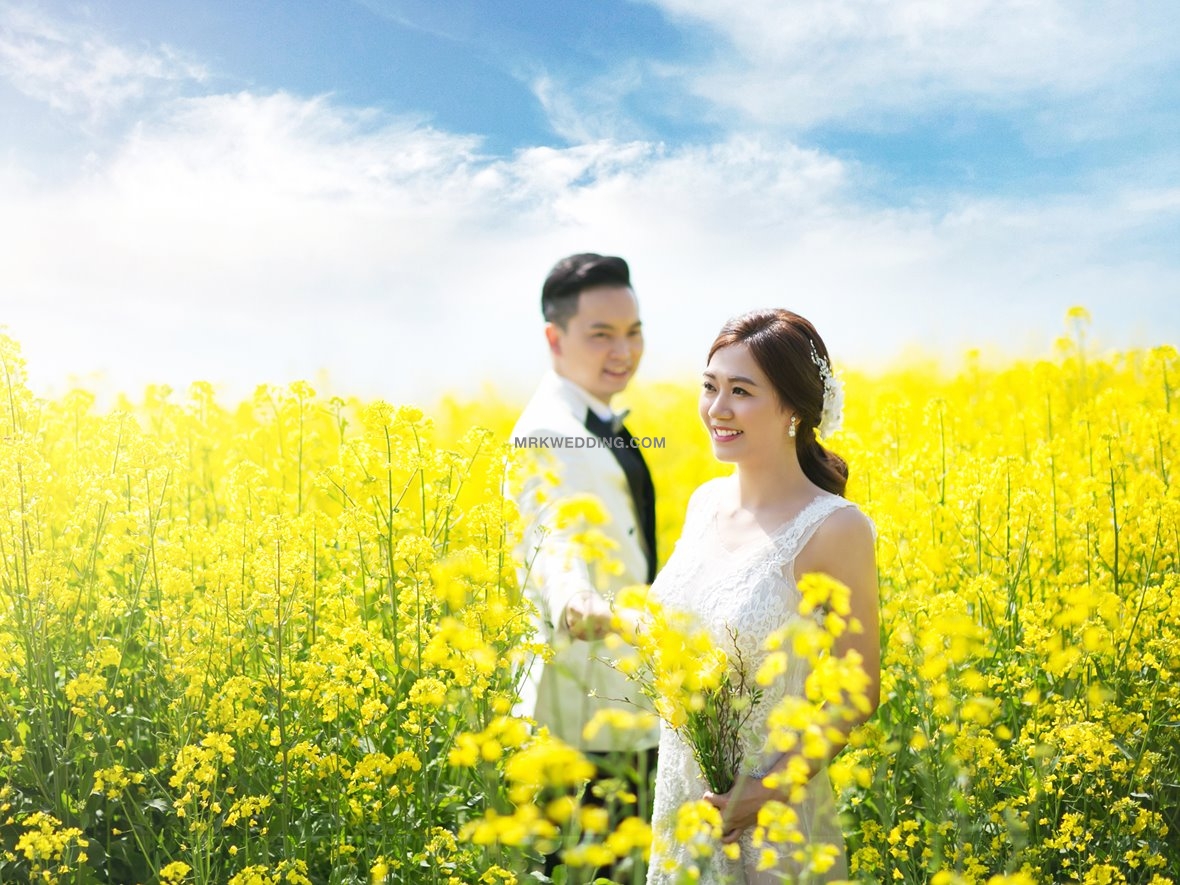 Jeju pre wedding (11).jpg