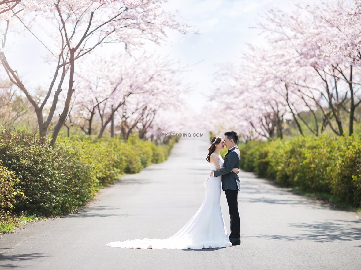 Jeju pre wedding (5).jpg