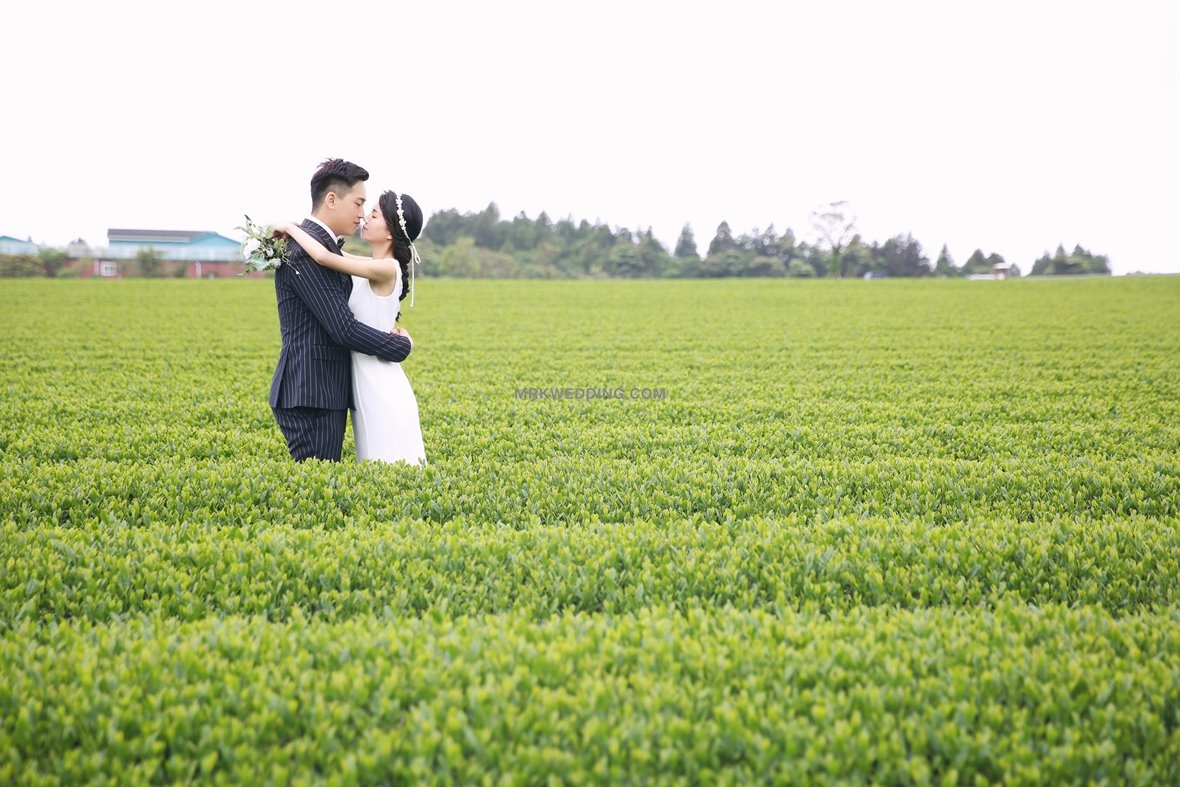 Jeju pre wedding (9).jpg