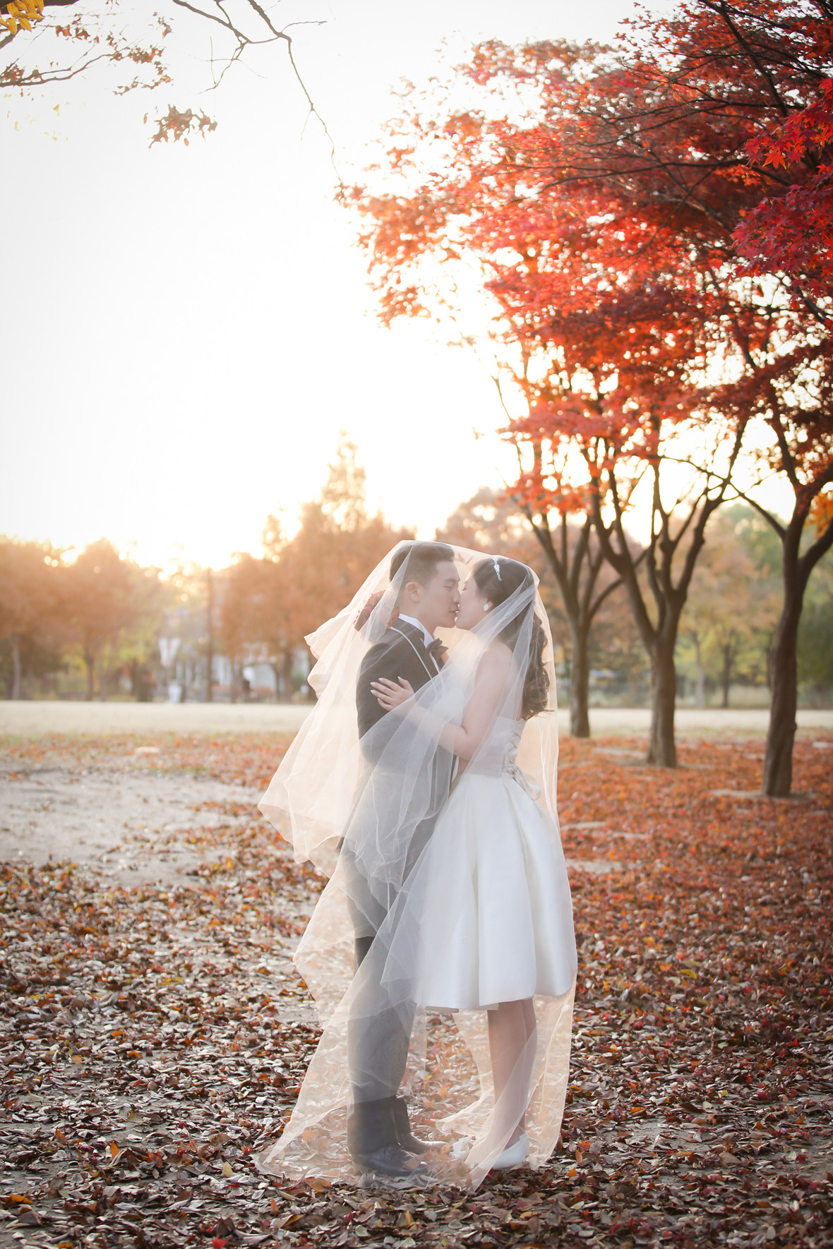 Korea pre wedding photography (4).jpeg
