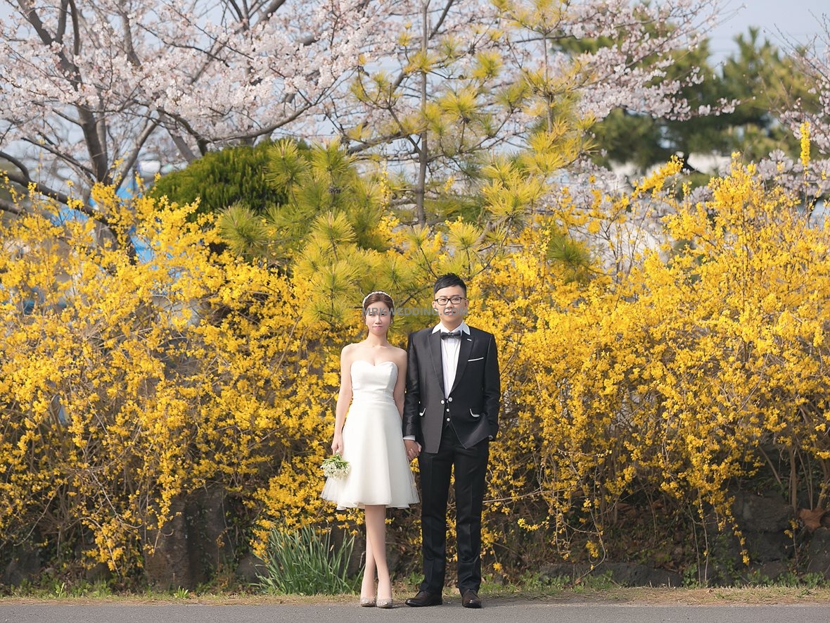 003 korea pre wedding (20).jpg