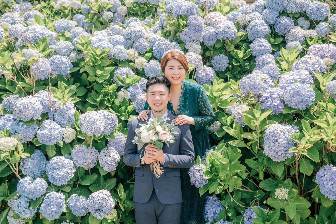 002 Jeju pre wedding (9).jpg