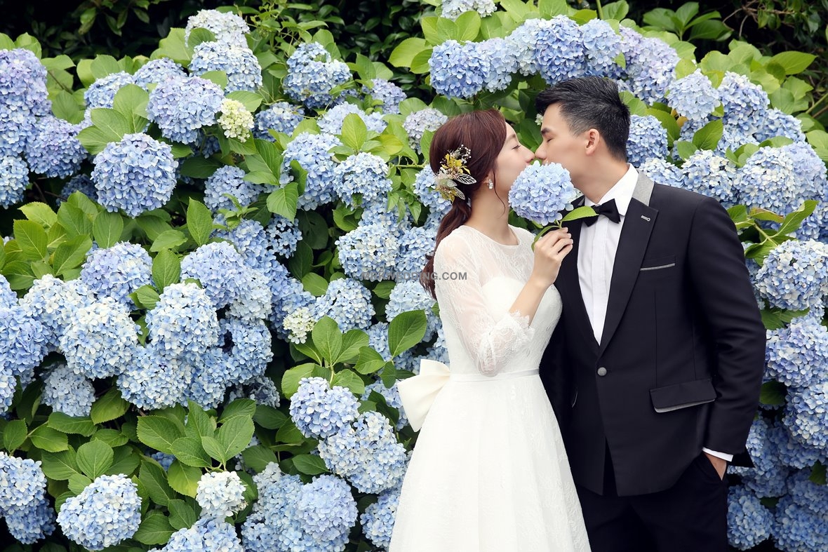002 Jeju pre wedding (11).jpg
