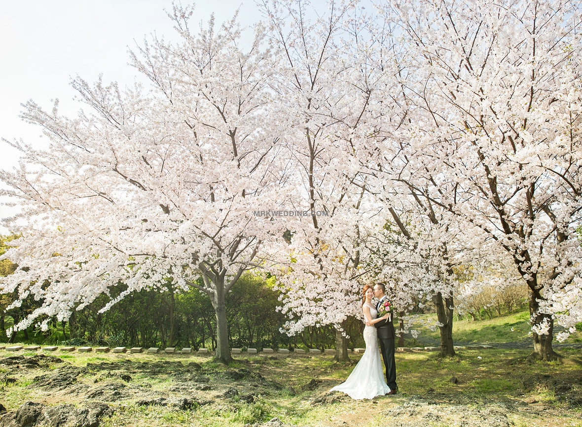 04korea pre wedding (2).jpg