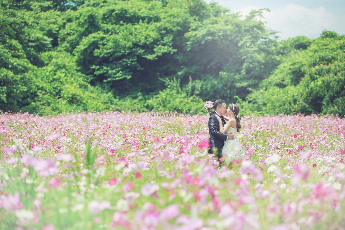 Korea pre wedding 4 (5).jpg