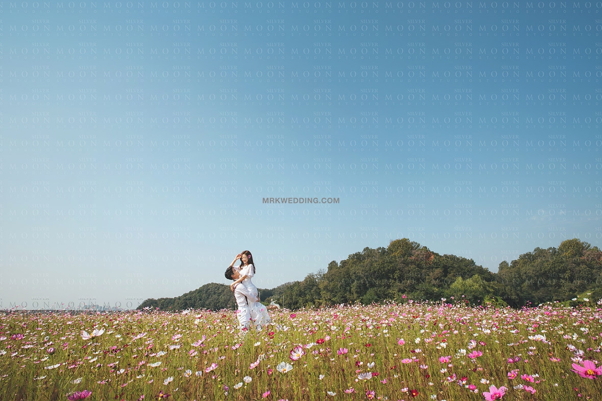 korea pre wedding (48).jpg
