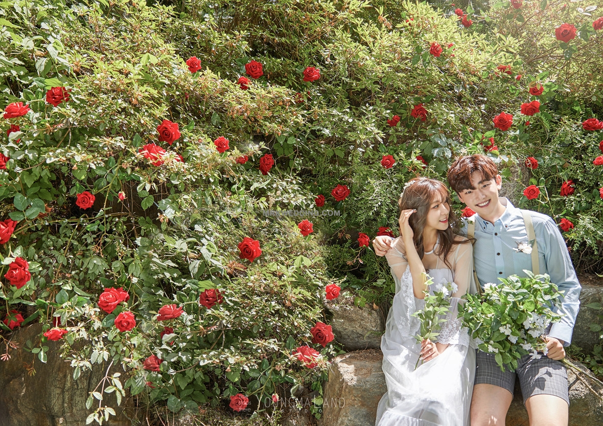 korea pre wedding (65).jpg